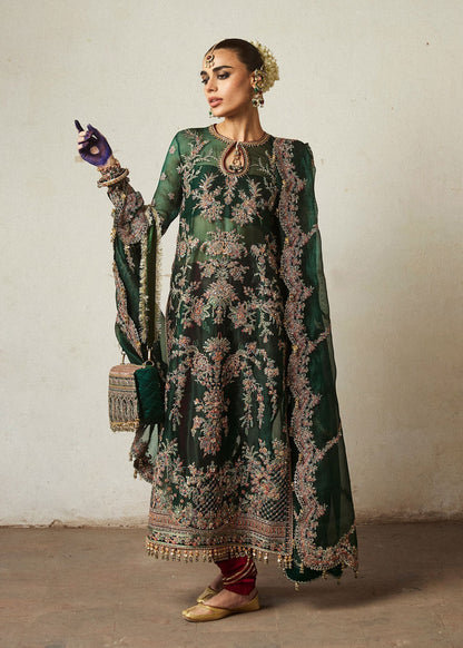 Hussain Rehar | Festive Formals 24 |  Jamali - Designer Dress with Intricate embroidery and embellishments. Shop elegent wedding dress at Maria Faisal.