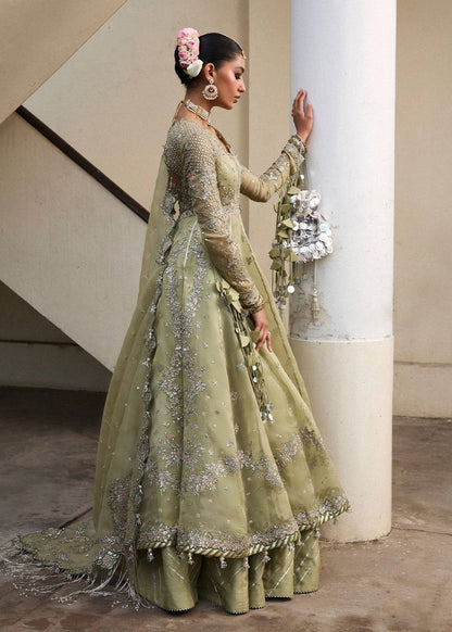 Hussain Rehar | Darlings Festive 25 | Tahiri by Maria Faisal - Registered Vendor of : Hussain Rehar - type : Ladies Clothes - 100% original wedding dresses