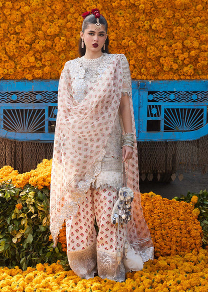 Hussain Rehar | Darlings Festive 25 | Zareen by Maria Faisal - Registered Vendor of : Hussain Rehar - type : Ladies Clothes - 100% original wedding dresses