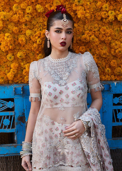 Hussain Rehar | Darlings Festive 25 | Zareen by Maria Faisal - Registered Vendor of : Hussain Rehar - type : Ladies Clothes - 100% original wedding dresses