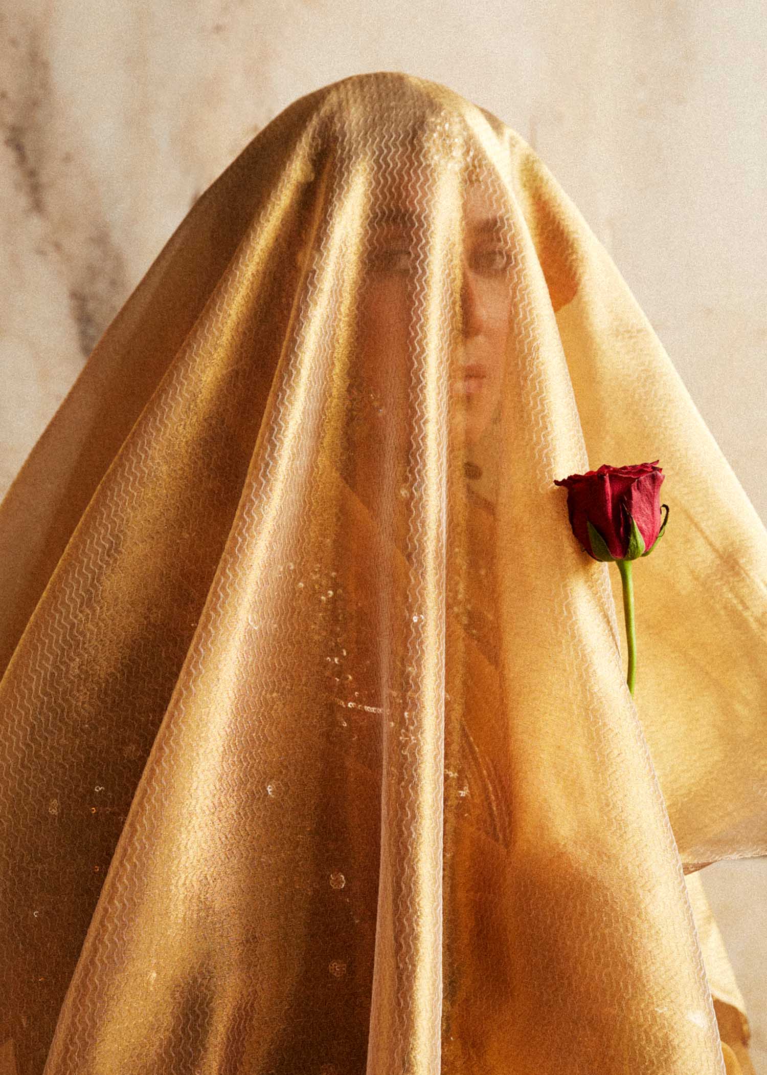 Hussain Rehar | Luxury Festive FW/24 | Zareena - Wedding Dress - Maria Faisal