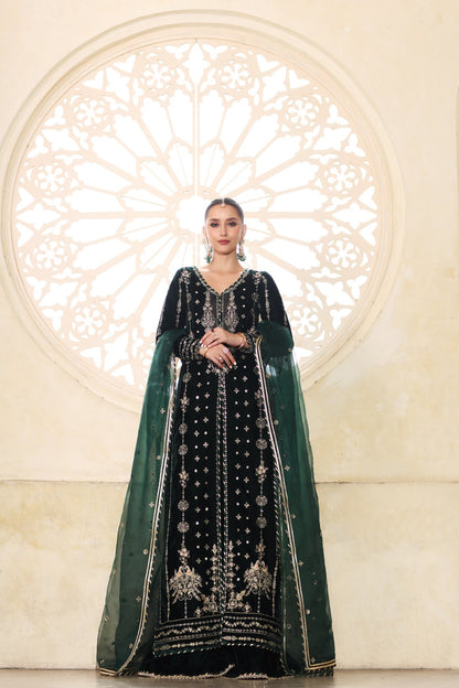 Noor by Saadia Asad | Handcrafted Velvet 25 |Zamurrud - Formal Dress - available at Maria Faisal in UK and USA.