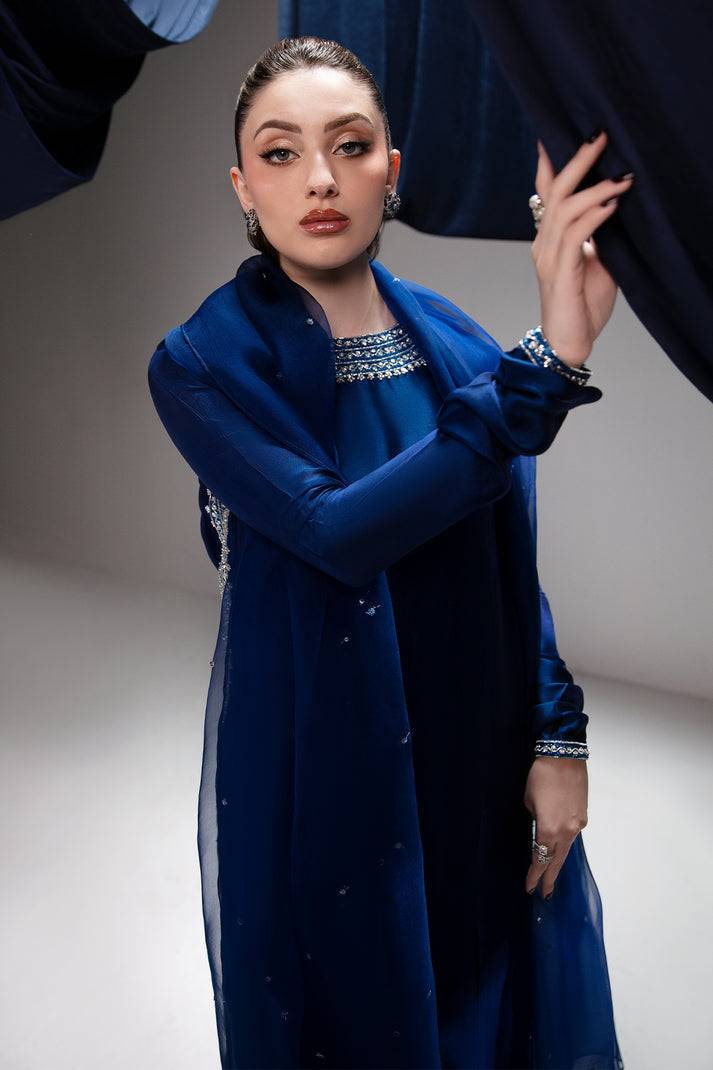 Raja Salahuddin | House of Mina | Diva by Maria Faisal - Registered Vendor of : Raja Salahuddin - type : Ladies Clothes - 100% original wedding dresses