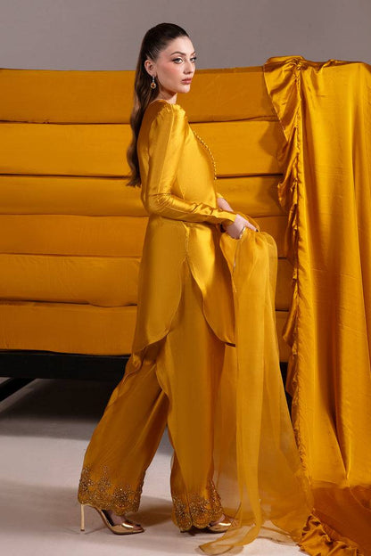 Raja Salahuddin | House of Mina |Daisy by Maria Faisal - Registered Vendor of : Raja Salahuddin - type : Ladies Clothes - 100% original wedding dresses