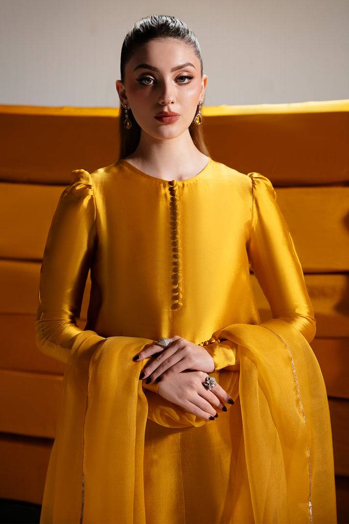 Raja Salahuddin | House of Mina |Daisy by Maria Faisal - Registered Vendor of : Raja Salahuddin - type : Ladies Clothes - 100% original wedding dresses