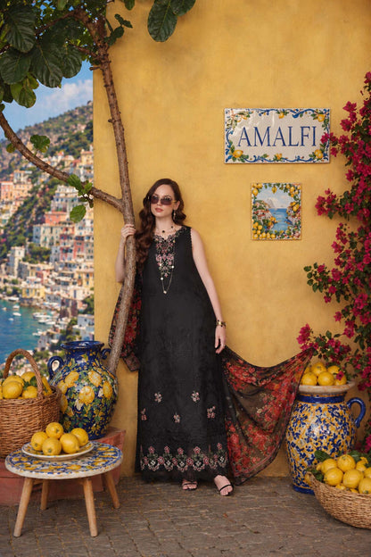 Noor by Saadia Asad | Luxury Eid Schiffli Laserkari 26 | D5 - Raven Black - Luxury Dress - available at Maria Faisal in UK and USA.