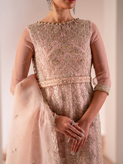 Izel | Stardust Luxury Collection | SLC-002-Astra - Designer Dress with Intricate embroidery and embellishments. Shop elegent wedding dress at Maria Faisal.