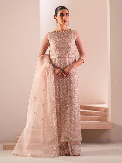 Izel | Stardust Luxury Collection | SLC-002-Astra - Designer Dress with Intricate embroidery and embellishments. Shop elegent wedding dress at Maria Faisal.