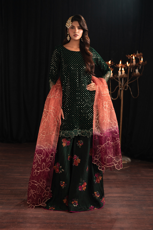 Iznik | Exclusive Velvet | IV-53 - Ladies Clothes - Maria Faisal