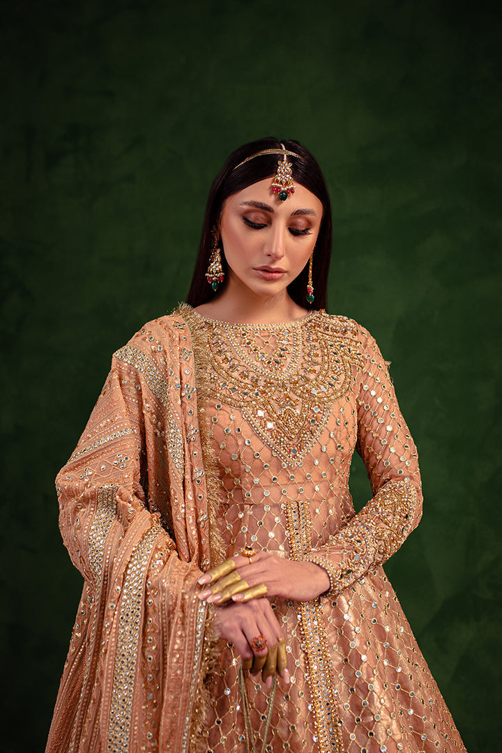 Maria Osama Khan | Salma Sitara | VASL - Ladies Clothes - Maria Faisal