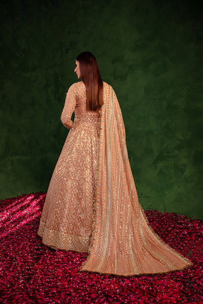 Maria Osama Khan | Salma Sitara | VASL - Ladies Clothes - Maria Faisal