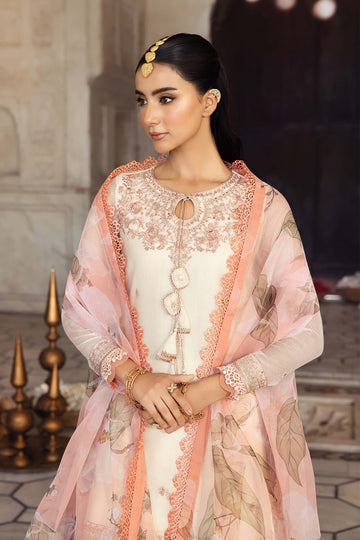 MB-FUS25-805 – authentic Pakistani dress from the Festive 25 collection for women in the UK