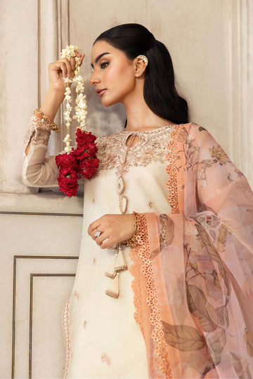 MB-FUS25-805 – authentic Pakistani dress from the Festive 25 collection for women in the UK