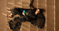 Maria B | Pre fall Dresses | MBS-W25-10 BL - Ladies Clothes - Maria Faisal