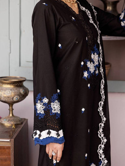 Rajbari | Nissa Chikankari Edition 25 | D# - 08 by Maria Faisal - Registered Vendor of : Rajbari - type : Ladies Clothes - 100% original wedding dresses