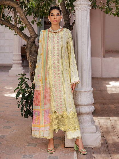 Rajbari | Nissa Chikankari Edition 25 | D# - 09 by Maria Faisal - Registered Vendor of : Rajbari - type : Ladies Clothes - 100% original wedding dresses