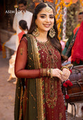 Asim Jofa | Chamak Damak Festive 24 | AJCD-22 - Pakistani Dress - Maria Faisal