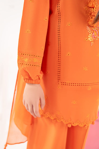 3 Piece Embroidered Lawn Suit - by Maria Faisal - Registered Vendor of : Maria B Kids - 100% Original Designer Dress