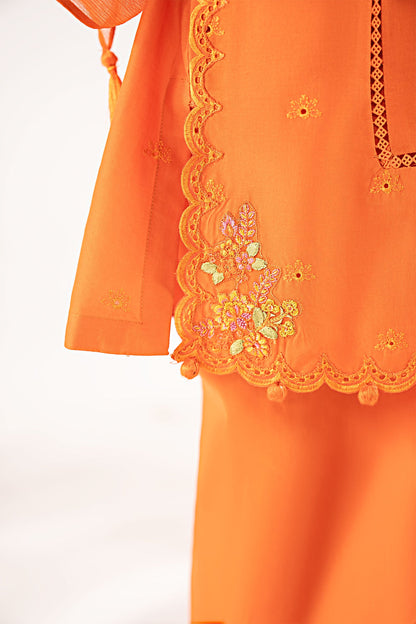 3 Piece Embroidered Lawn Suit - by Maria Faisal - Registered Vendor of : Maria B Kids - 100% Original Designer Dress