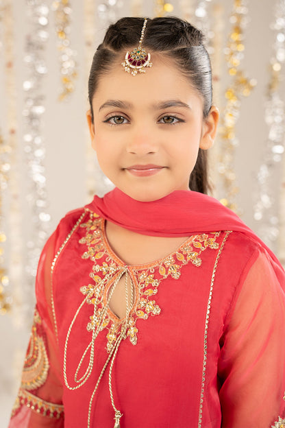 2 Piece Embroidered Organza Suit - Kids Clothing - available at Maria Faisal in UK and USA.