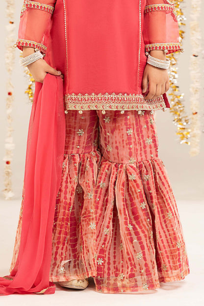 2 Piece Embroidered Organza Suit - Kids Clothing - available at Maria Faisal in UK and USA.