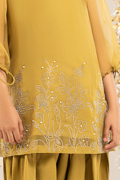 2 Piece Embellished Organza Suit - Kids Clothing - available at Maria Faisal in UK and USA.