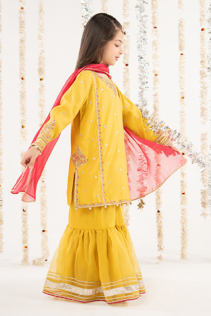 3 Piece Embroidered Raw Silk Suit - by Maria Faisal - Registered Vendor of : Maria B Kids - 100% Original Designer Dress