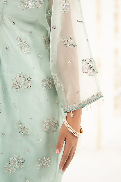 2 Piece Embroidered Organza Suit - Kids Clothing - available at Maria Faisal in UK and USA.