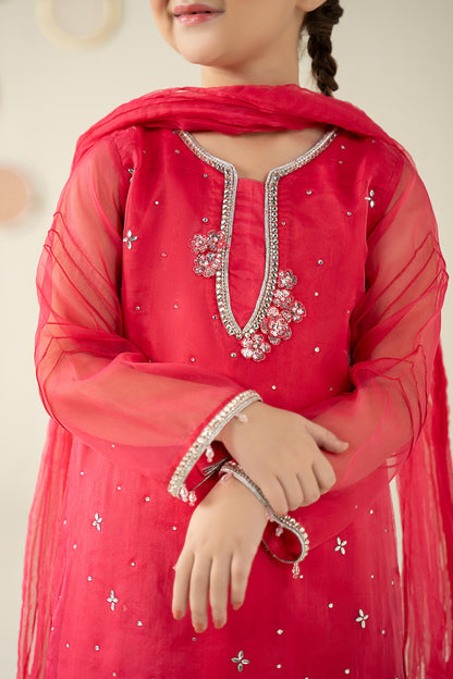 3 Piece Embellished Organza Suit - Kids Clothing - available at Maria Faisal in UK and USA.