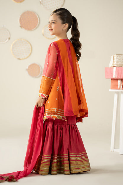 3 Piece Embroidered Organza Suit - Kids Clothing - available at Maria Faisal in UK and USA.