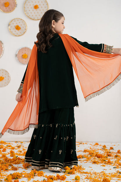3 Piece Embroidered Velvet Suit - Festive Pakistani Kids Dresses - available at Maria Faisal in UK and USA