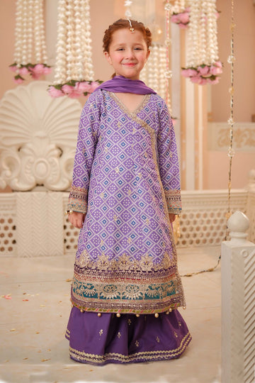 Maria B | 3 Piece Embroidered Raw SiMF Suit | MKS-W24-20