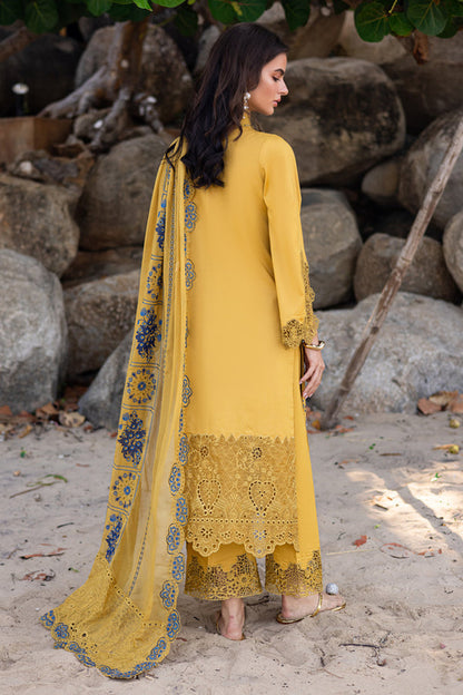Marjjan | Mavi Lawn | MLL-23 B (MUSTARD)