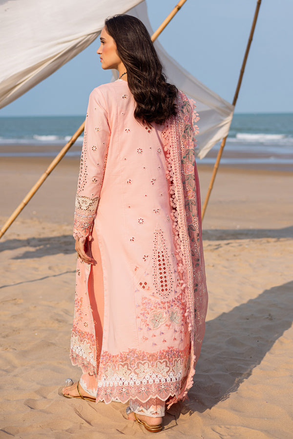 Marjjan | Mavi Lawn | MLL-24 A (PEACH) - Ladies Clothes - Maria Faisal