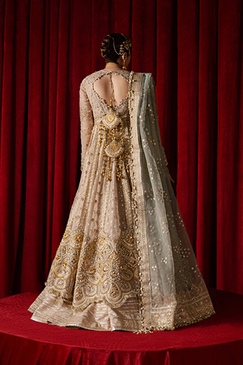 MNR | Zarlish Festive Formals | Shabnami - Ladies Clothes - Maria Faisal