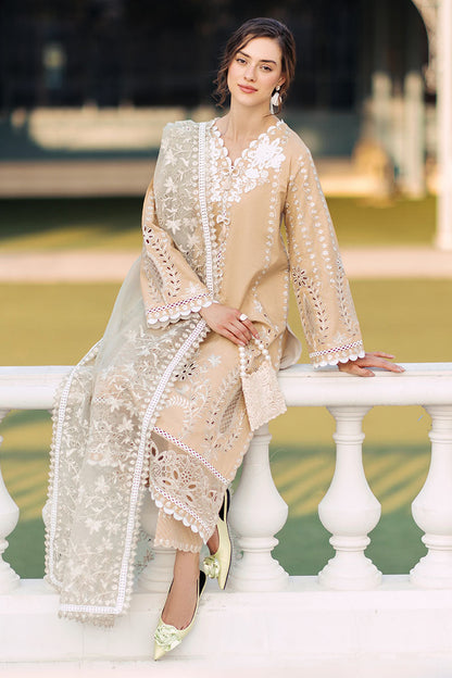 Mushq | La Toscana Casual Pret 24 |DIVINE DESERT - Waniyas