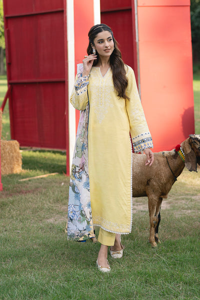 Maryum N Maria | Cosy Crew Winter Pret 25 | GULALI - MSS5768 - Casual Dress - available at Maria Faisal in UK and USA.