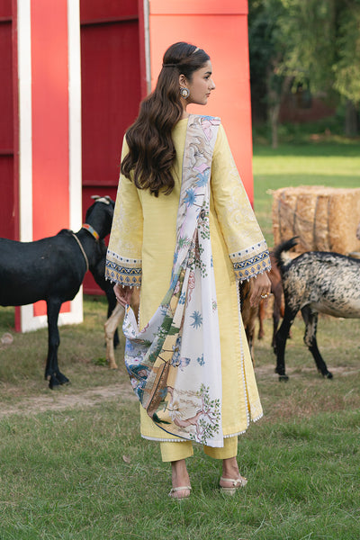 Maryum N Maria | Cosy Crew Winter Pret 25 | GULALI - MSS5768 - Casual Dress - available at Maria Faisal in UK and USA.