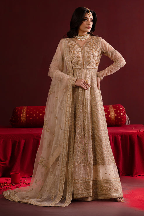 Emaan Adeel | Nooresha Formals 25 | Safira - Designer Dress with Intricate embroidery and embellishments. Shop elegent wedding dress at Maria Faisal.