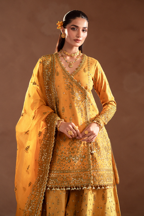 Emaan Adeel | Selene Formals | VELORIA - Designer Dress with Intricate embroidery and embellishments. Shop elegent wedding dress at Maria Faisal.