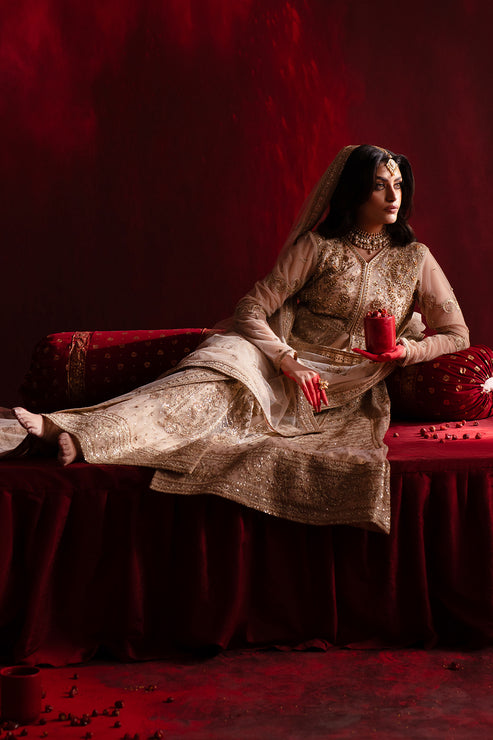 Emaan Adeel | Nooresha Formals 25 | Safira - Designer Dress with Intricate embroidery and embellishments. Shop elegent wedding dress at Maria Faisal.