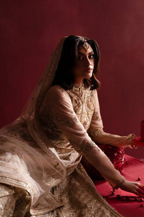 Emaan Adeel | Nooresha Formals 25 | Safira by Maria Faisal - Registered Vendor of : Emaan Adeel - type : Ladies Clothes - 100% original wedding dresses