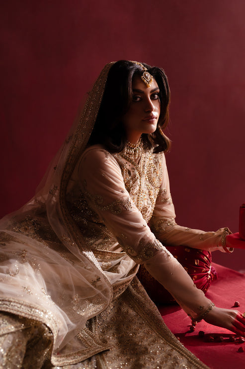 Emaan Adeel | Nooresha Formals 25 | Safira - Designer Dress with Intricate embroidery and embellishments. Shop elegent wedding dress at Maria Faisal.