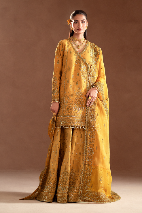 Emaan Adeel | Selene Formals | VELORIA - Designer Dress with Intricate embroidery and embellishments. Shop elegent wedding dress at Maria Faisal.
