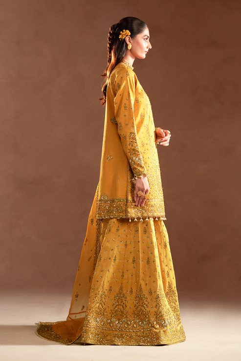 Emaan Adeel | Selene Formals | VELORIA - Designer Dress with Intricate embroidery and embellishments. Shop elegent wedding dress at Maria Faisal.