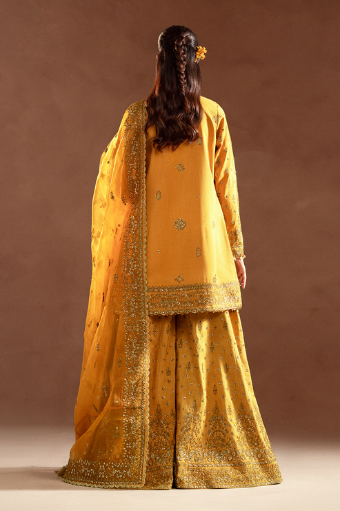 Emaan Adeel | Selene Formals | VELORIA - Designer Dress with Intricate embroidery and embellishments. Shop elegent wedding dress at Maria Faisal.