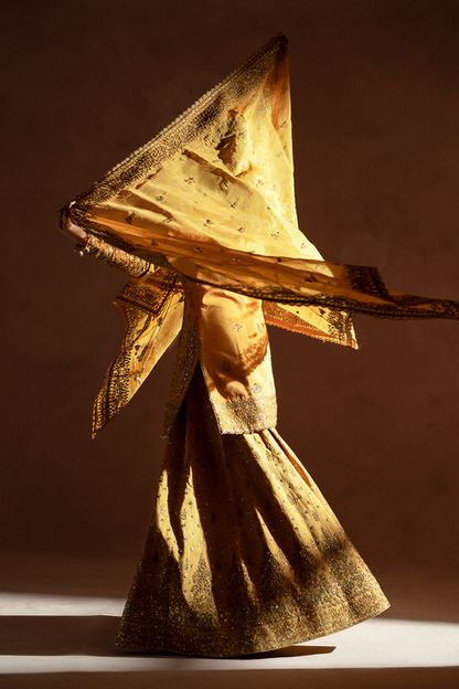 Emaan Adeel | Selene Formals | VELORIA - Ladies Clothes 