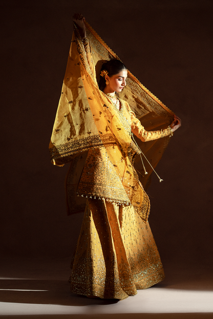 Emaan Adeel | Selene Formals | VELORIA - Ladies Clothes 