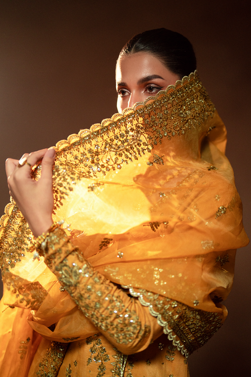 Emaan Adeel | Selene Formals | VELORIA - Designer Dress with Intricate embroidery and embellishments. Shop elegent wedding dress at Maria Faisal.