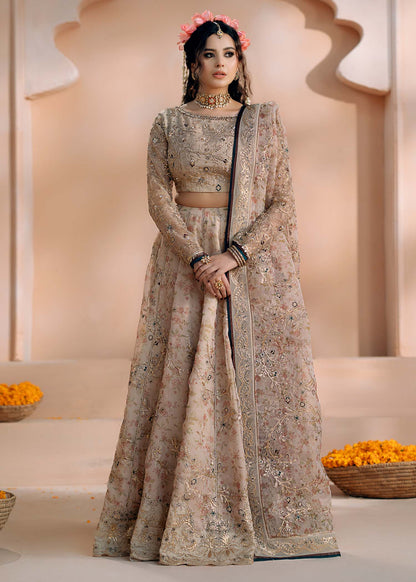 Fozia Khalid | Chamakh Dhamakh Wedding Festivity | Rasam by Maria Faisal - Registered Vendor of : Fozia Khalid - type : Ladies Clothes - 100% original wedding dresses